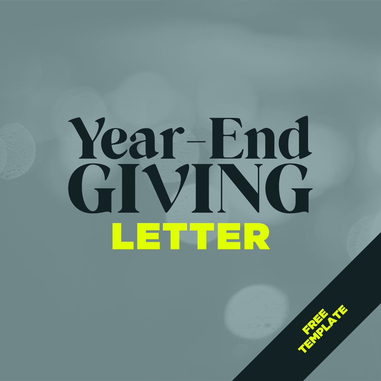 Year-End Appeal Letter Template